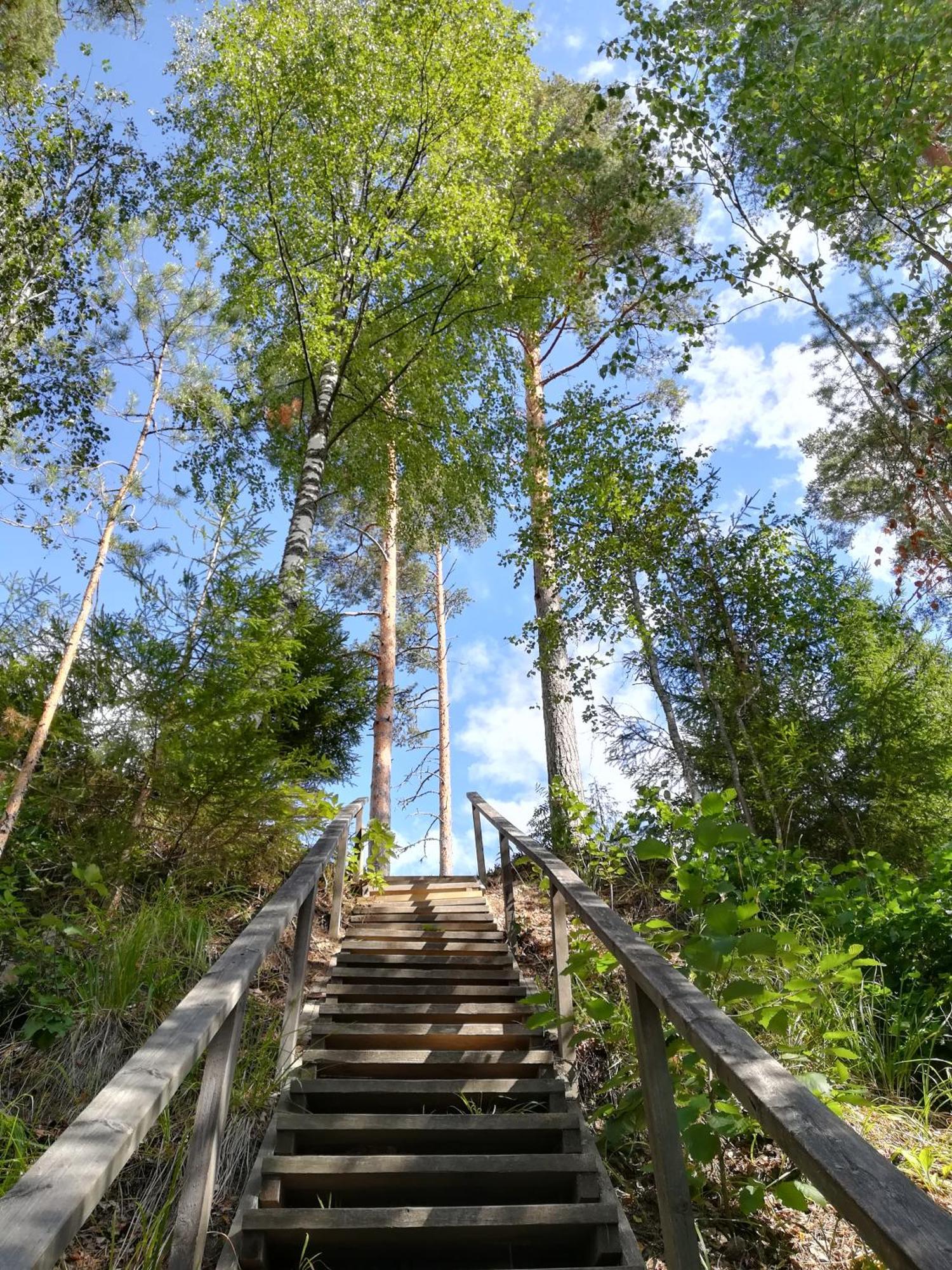 Vuori Camp By Saimaa Διαμέρισμα Vuoriniemi Εξωτερικό φωτογραφία